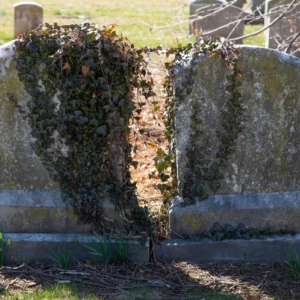 Adults Ignore Grandpa’s Neglected Grave, Boy Cleans It and Finds Engraved Coordinates – Story of the Day